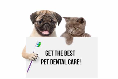 At-Home Dental Care Products